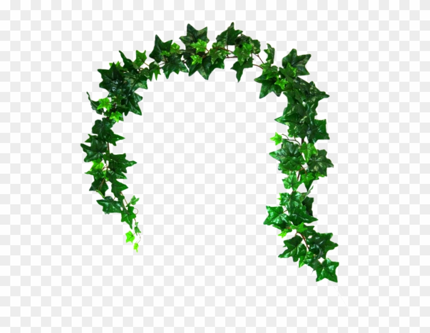 Grape Clip Art - Grape Clip Art #796763