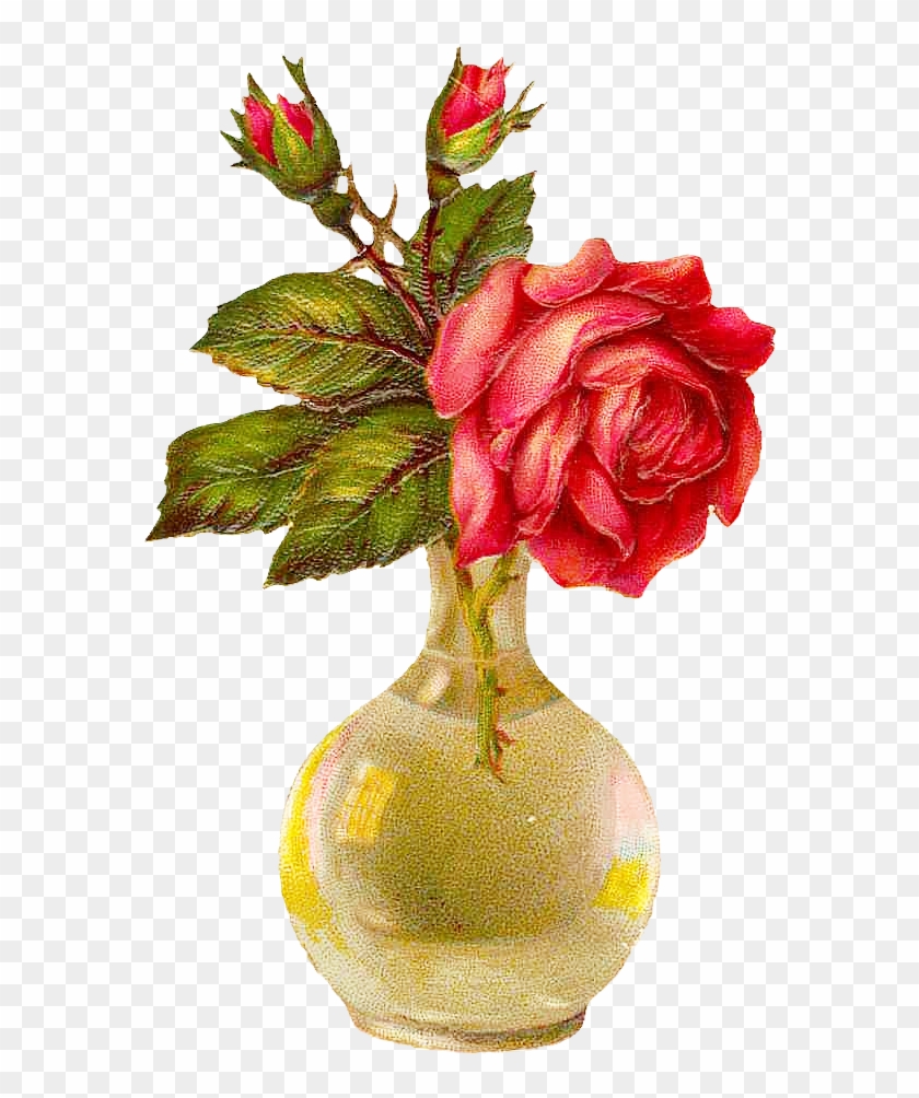 Vase Flower Garden Roses Drawing - Vase Flower Garden Roses Drawing #796849