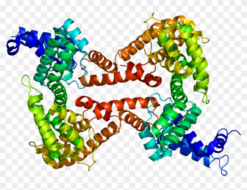 Vitamin D Binding Protein #796900