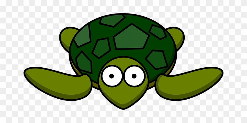 Turtle Green Shell Tortoise Animal Reptile - Cartoon Turtle Clip Art #796935