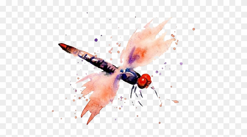 Watercolor Painting Dragonfly - Watercolor Painting #797053