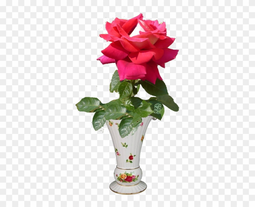 Soloing, Vase, Flower Vases, Jar - Fruit #797380