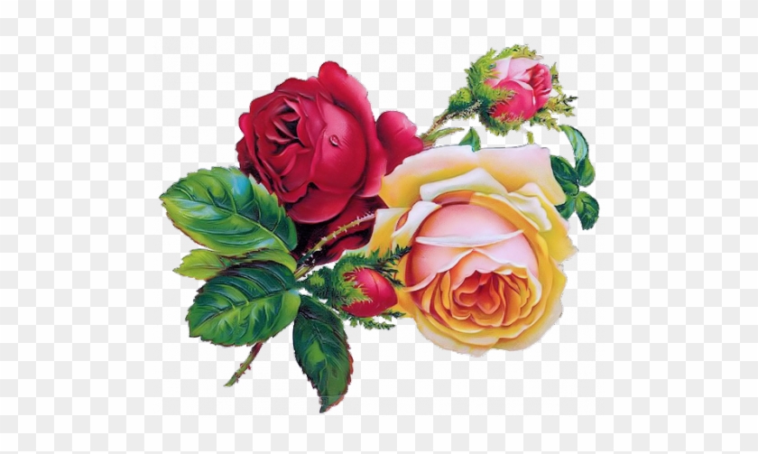 Free Pictures On Pixabay - Vintage Rose Clip Art #797383