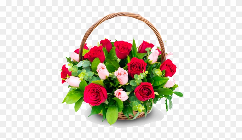 Congratulation Flower Transparent - Happy Birthday My Dear Friend Messages #797388