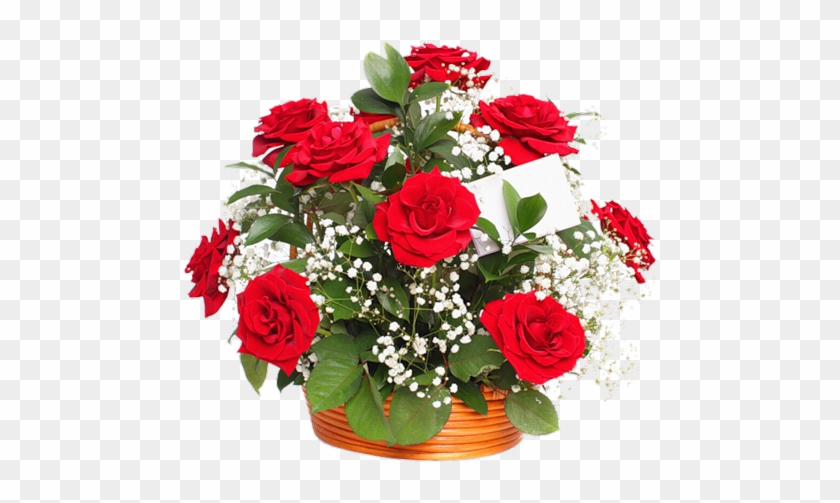 Gypsophila And Red Roses Bouquet #797436