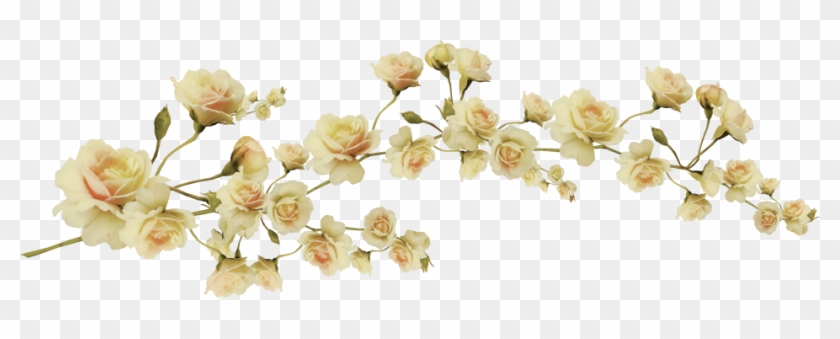 1000 Images About Png Series - Aesthetic Flower Transparent #797471