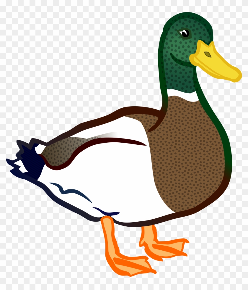 Duck - Coloured - Bebek Vector #797491