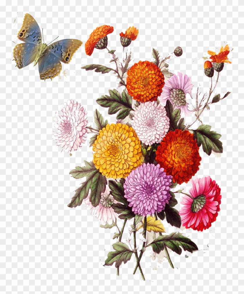 Flower Collage Stock Illustration Photography - Flower Collage Png #797595