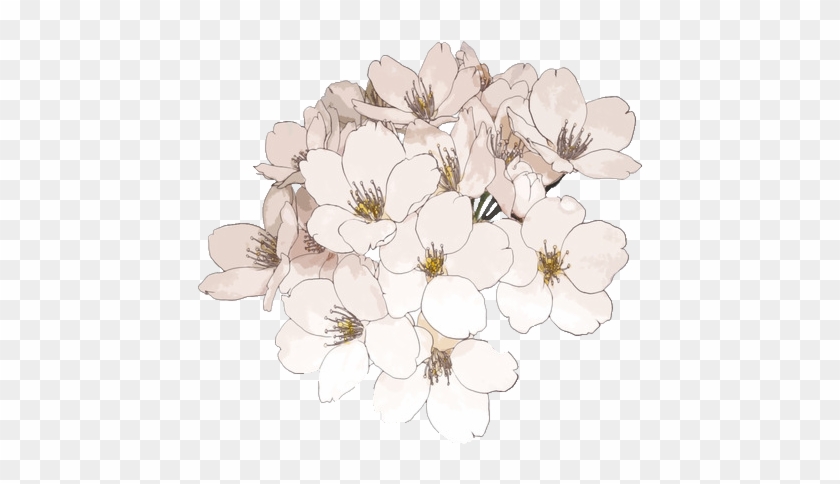 Tumblr Ship Transparent - Transparent Flowers #797632