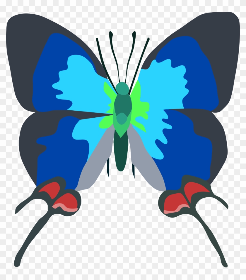 Tecla Coronata By Mese - Butterfly #797654