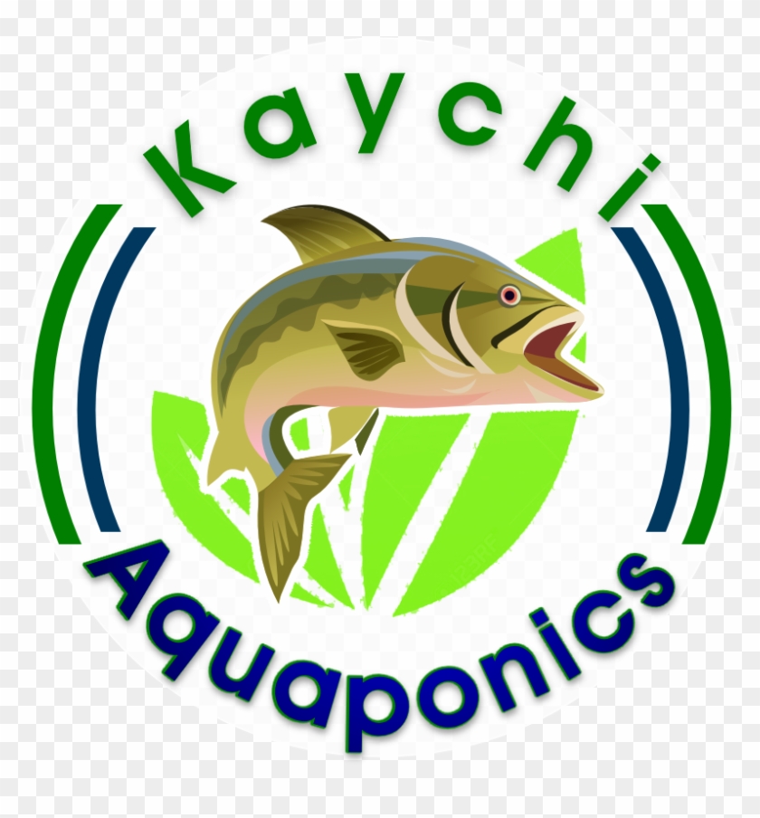 Kaychi Aquaponics - Aquaponics #797665