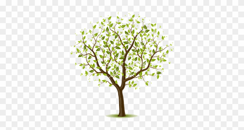 Vectors Illustration Of Tree With Green Leafage - Give The Gift Of Life Be An Organ Donor Picture Frame #797683