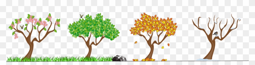 Spring Season Clip Art Clipart - Seasons Tree Clip Art #797699