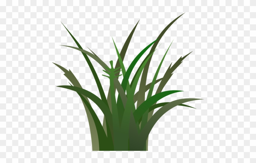 Grass Background Clipart - Vegetation Clipart #797828