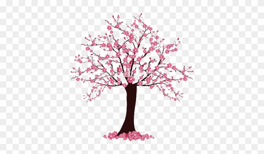 Cherry Blossom Tree Drawing - Cherry Blossom Tree Easy Drawing #797862