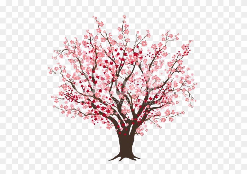 Cherry Blossom Tree Clip Art - Cherry Blossom Tree Drawing #797865