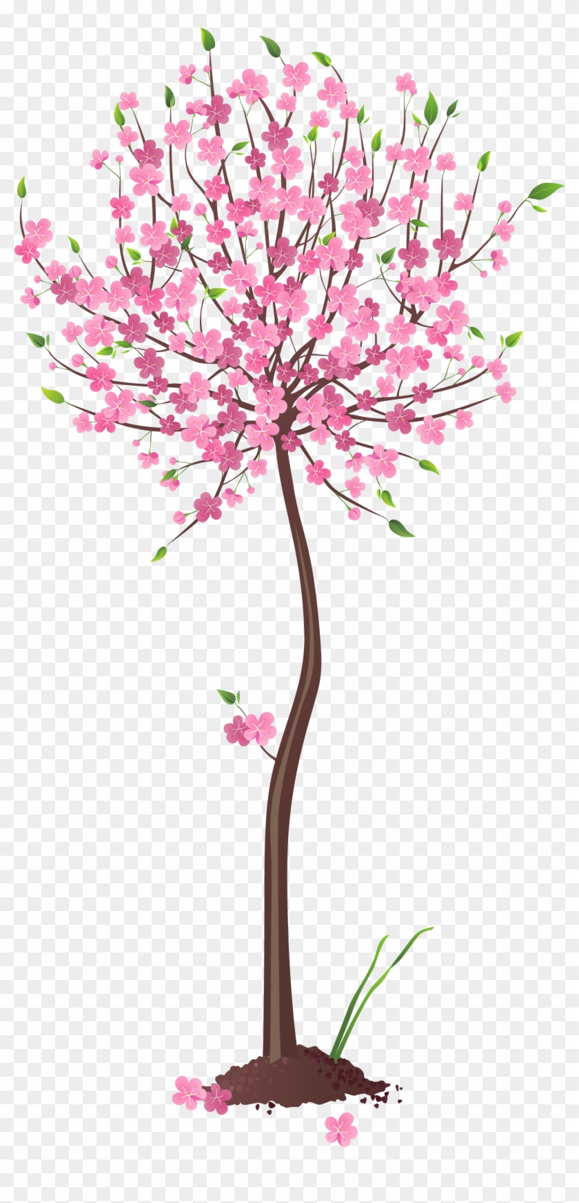Spring Pink Tree Png Clipart - Pink Tree Clipart #797872