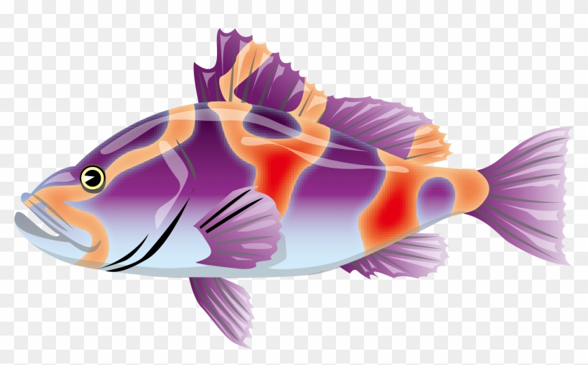 Adobe Illustrator Illustration Color Vector Fish 4066 - Adobe Illustrator Illustration Color Vector Fish 4066 #797950
