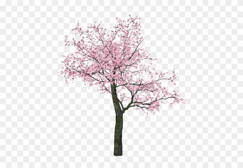 Repassando Sc Wind Chimes - Tree In Spring Clipart #797893