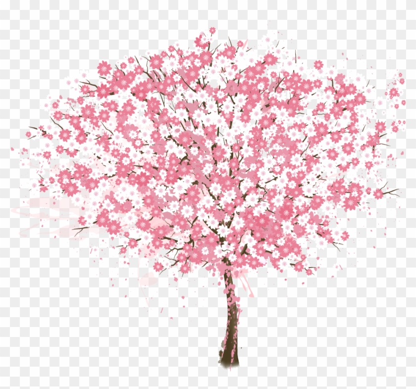 Cherry Blossom Tree Vector Painted Pink 1019 - Cherry Blossom Tree Vector Painted Pink 1019 #797931