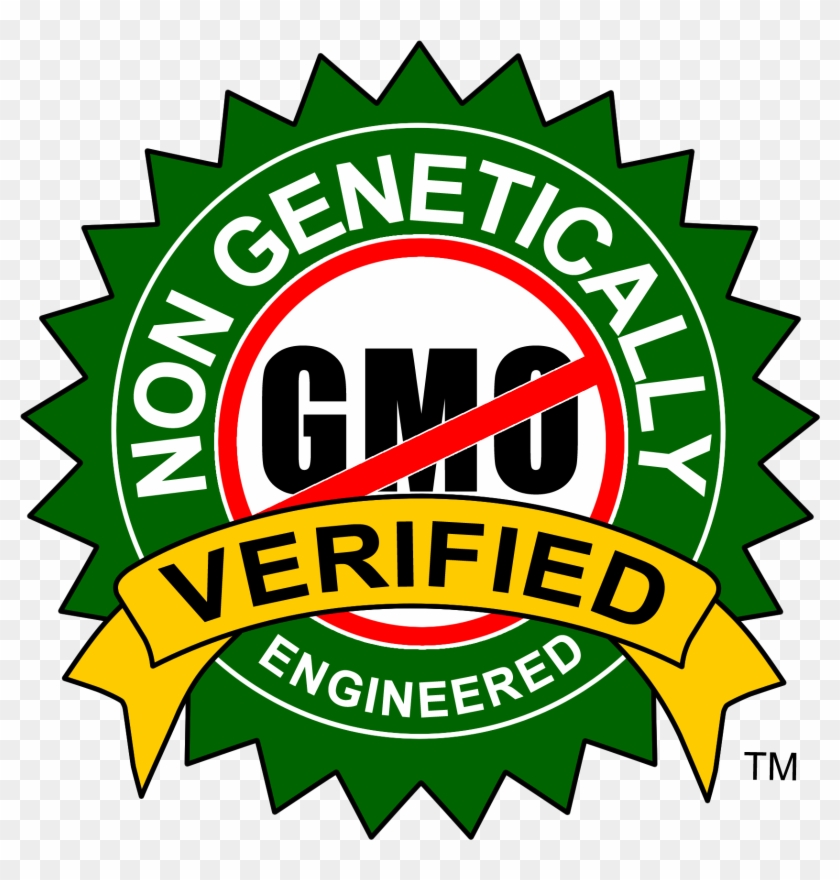 Non Gmo Verified - 2013 Top Dentist Phoenix Magazine #797998