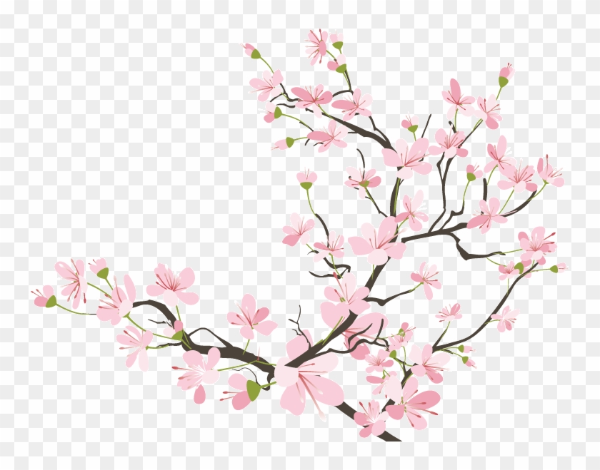 Flowers Cherryblossom Sakura Kawaii Tumblr Ftestickers - Cherry Blossom Png #798042