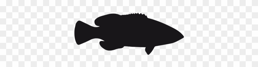 Grouper - Silhouette #798143