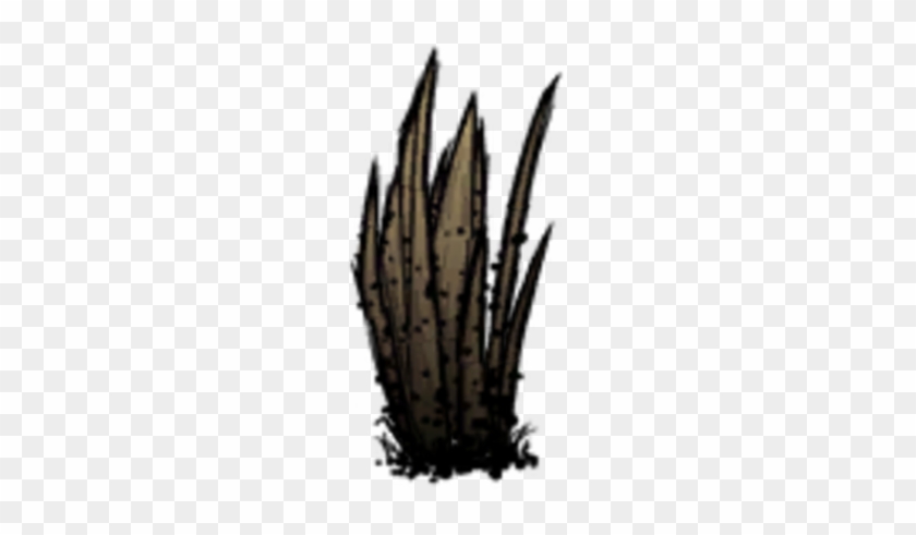 Grass Tuft - Don T Starve Disease #798160