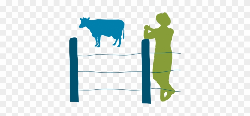 This Picture Shows A Farmer Leaning On A Fence With - Cattle #798245