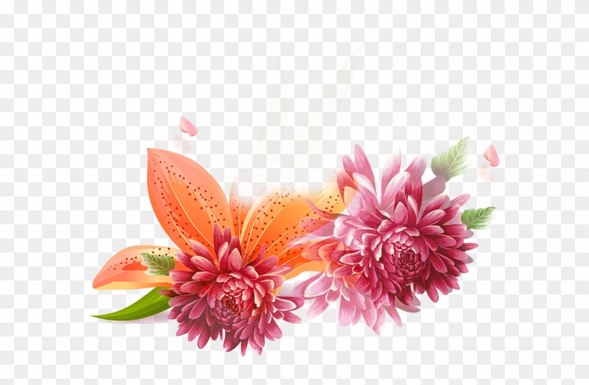 Chrysanthemum Adobe Illustrator Clip Art - Chrysanthemum Adobe Illustrator Clip Art #798366