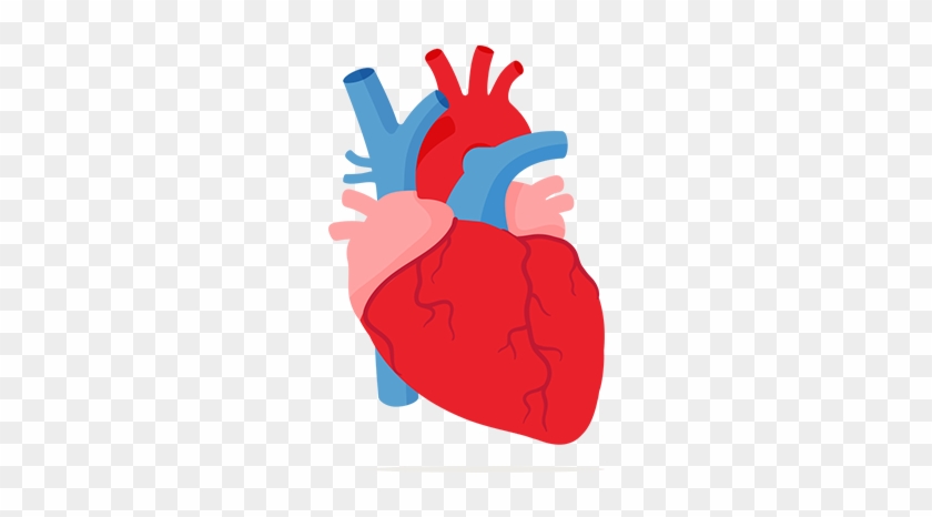Cartoon Picture Of A Heart - Heart #798706