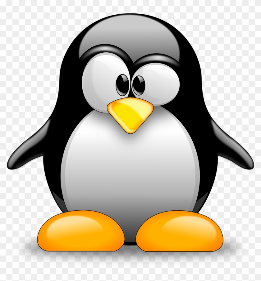 Unix Vs Linux Pingouin Linux Free Transparent Png Clipart Images Download