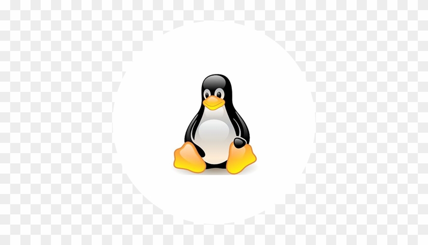 Common Data Loss Scenarios - Linux #798869