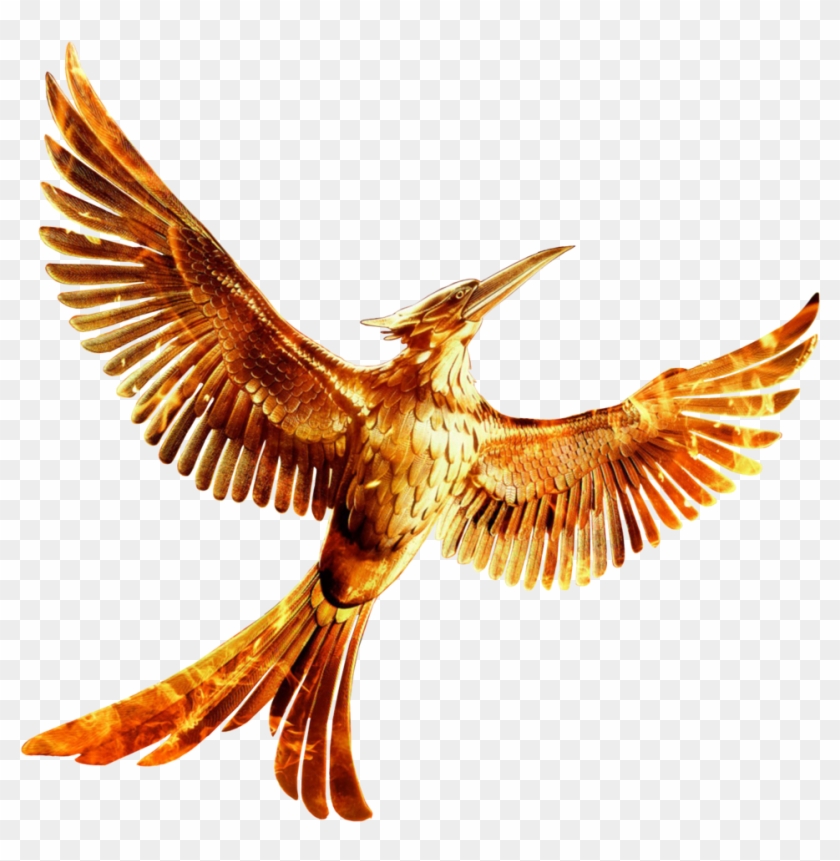 Brds Clipart Mockingjay - Hunger Games Mockingjay Part 2 Png #798949