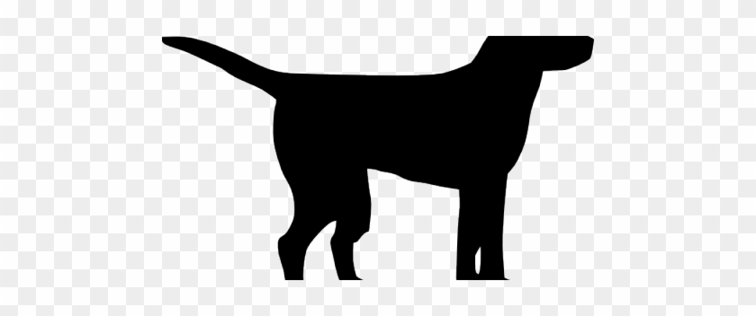 Black And White Dog Clipart - Companion Dog #799063