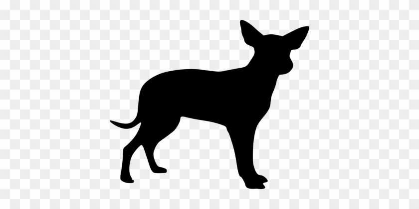 Dog Puppy Animal Black Silhouette Dog Dog - Small Dog Silhouette #799066