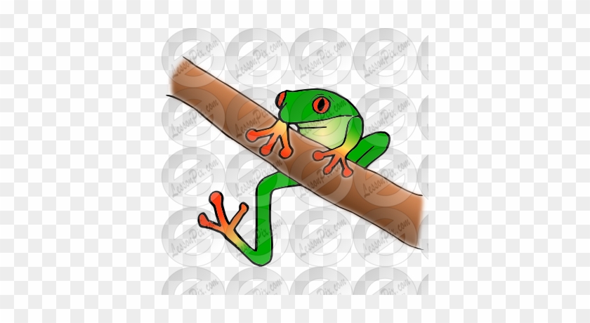 Tree Frog Picture For Classroom / Therapy Use - Tree Frog #799215