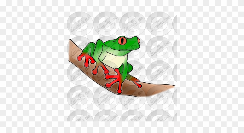 Tree Frog Clipart Amphibian - Frog #799228
