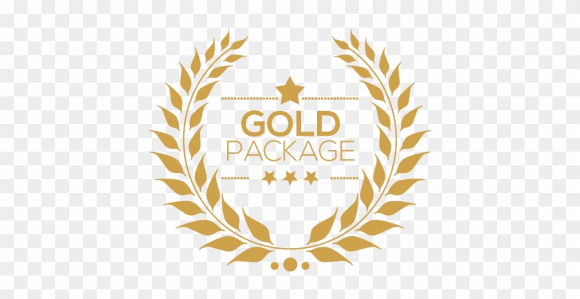 Create A Shopify Store - Gold Package #799325