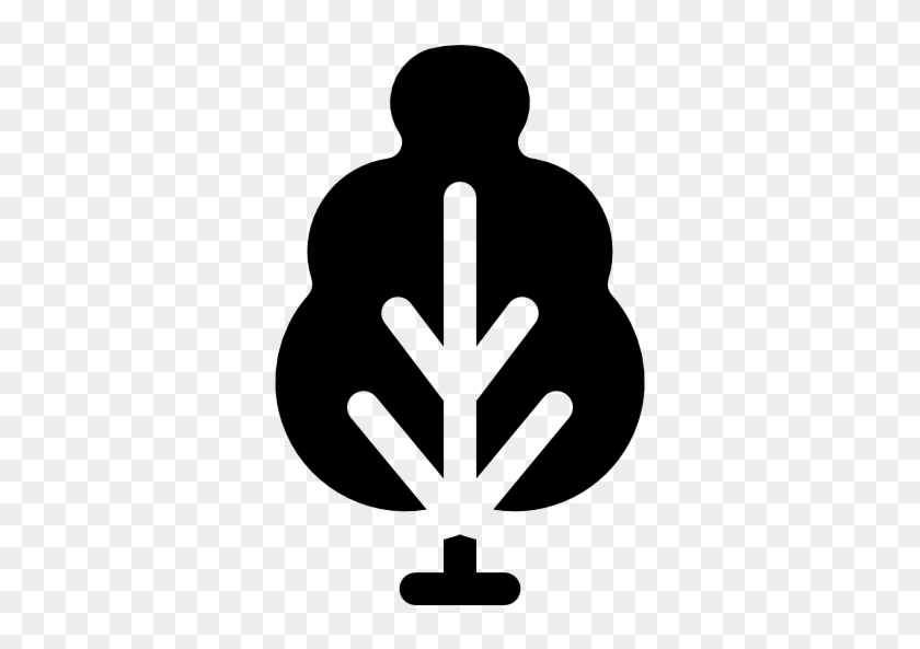 Birch Tree Free Icon - Emblem #800143