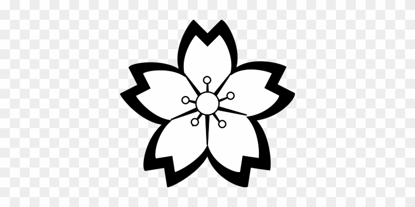 Lily, Flower, Blossom, Outline - Flowers Clip Art Black And White #800302