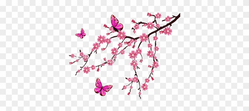 Pensiunea Moldovita - Cherry Blossom Clip Art #800320