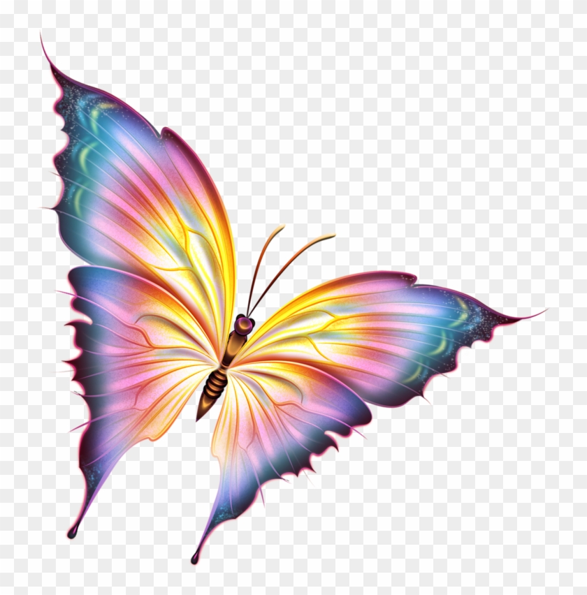 Borboletas - Beautiful Butterfly Png #800346