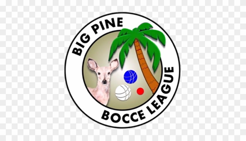 Big Pine Bocce League Of The Lower Keys - Microsoft Teams #800685