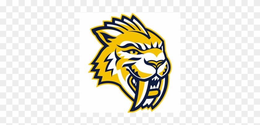 Maranatha Baptist University - Maranatha Baptist University Athletics #800810