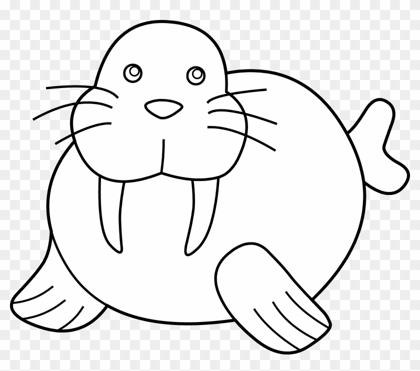 Walrus Animal Free Black White Clipart Images Clipartblack - Walrus Coloring Page #800840