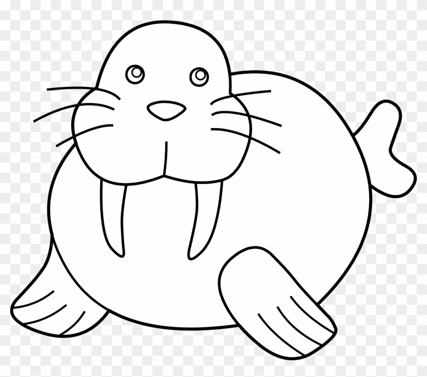 Walrus Animal Free Black White Clipart Images Clipartblack - Walrus Coloring Page #800840