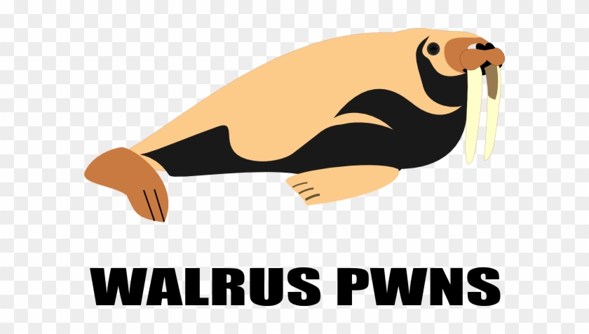 Walrus Pwns Clip Art - Walrus #800852
