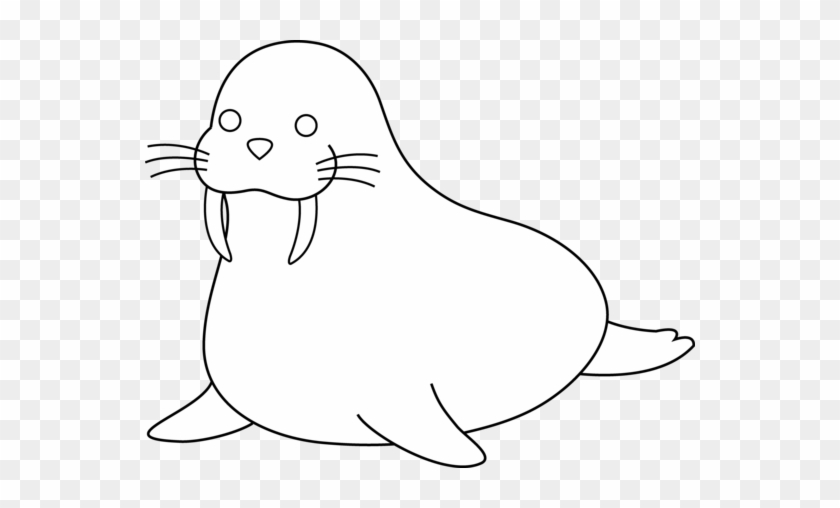 Walrus Clipart Black And White - Cartoon Walrus Outline #800853