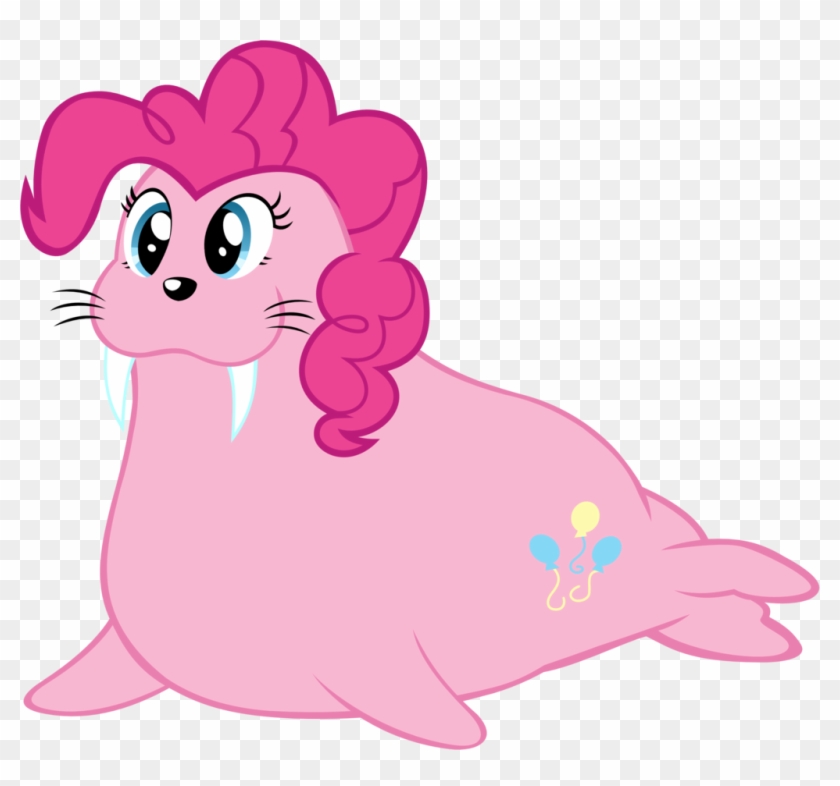 Walrus Pie By Megarainbowdash2000 Walrus Pie By Megarainbowdash2000 - Pinkie Pie Walrus #800860